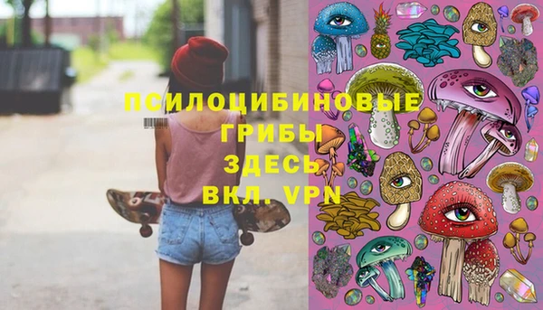 МДПВ Зерноград