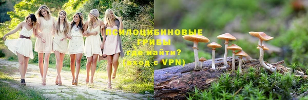 крисы Зеленодольск