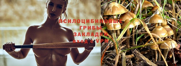 крисы Зеленодольск
