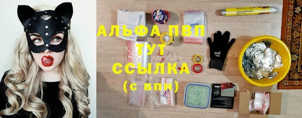 крисы Зеленодольск