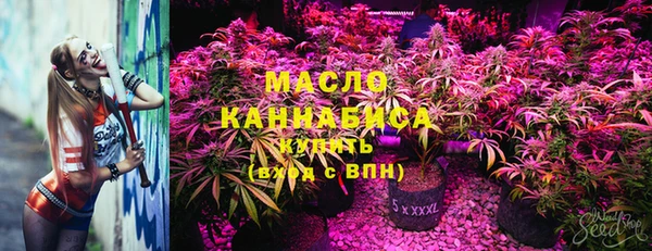 крисы Зеленодольск
